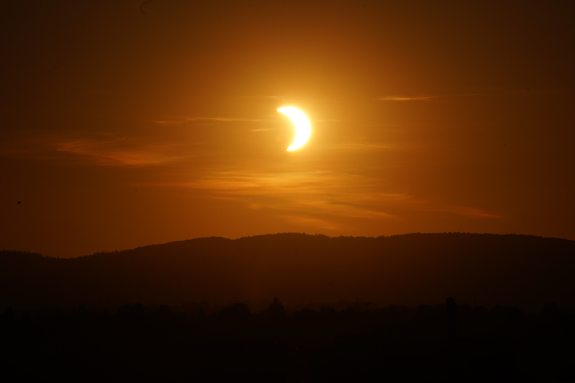 Sonnensichel